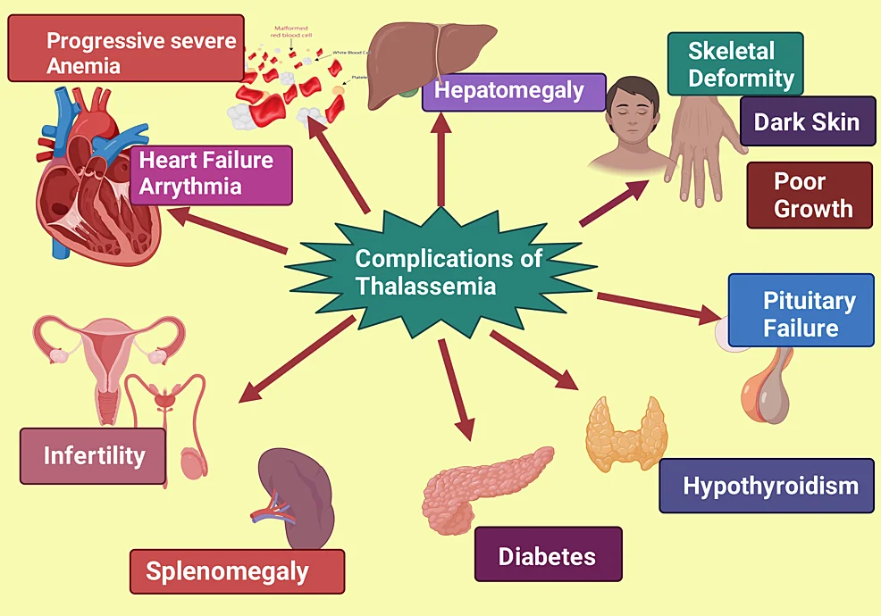 Unlock the Secret to Insulin Resistance and Weight Gain