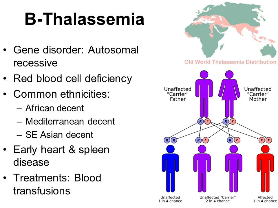 What If a Thalassemia Patient Rejects the BMT Procedure?